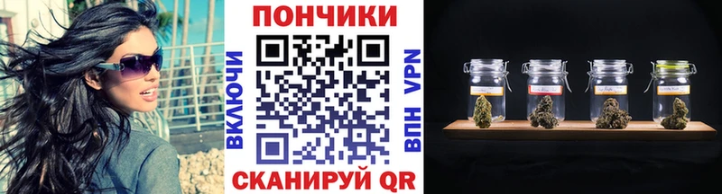 купить наркоту  Лахденпохья  Бошки Шишки ГИДРОПОН 